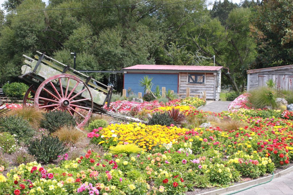 the farm tour (rotorua heritage farm)